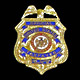 police badges 