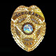Police Badges ( Metal Badges)