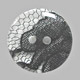 polyester button with lace fabric 