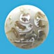 polyester button 