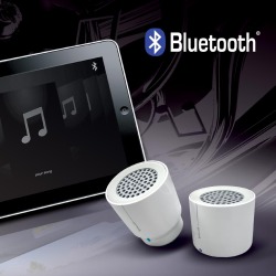 portable bluetooth speakers