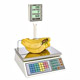 Scale Manufacturers