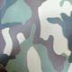 Printed Polyester Fabrics