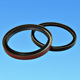PTFE Oil Seals
