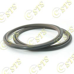 ptfe stepseals