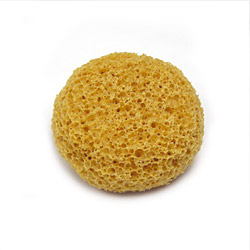 pva natural-like sea sponges (sea sponges) 