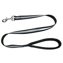 reflective leash