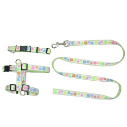 ribbon collar leash harness