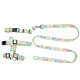 Ribbon Collar  Leashes  Harnesses