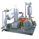 Roots Blowers (Pressure Conveyance)