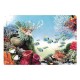 Placemat image