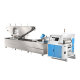 Automatic Transfer Printing Machine