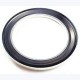 Axial Seals / Gamma Seals