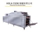 Continuous Multi-Layer Roaster