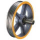 DIRECTIVE WHEEL