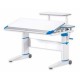 Ergonomic Study Desks