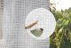 Insect Proof Net
