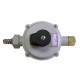 LP GAS REGULATOR