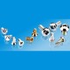 Machine Screws