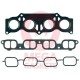 Manifold Gasket (Engine Gasket)