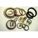 Oil Seals