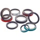 Oil Seals