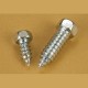 Self Tapping Screw