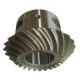 Spur-Gear 