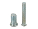 Clinching Screws