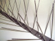 Pigeon Spikes