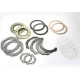 Swivel Oil Seals