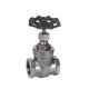 screwed end gate valve 