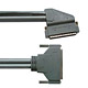 scsi cable 