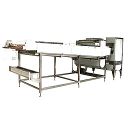 seasoning conveyor