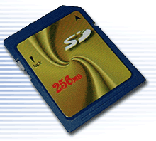 secure digital memory card