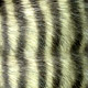 Shoes Materials image