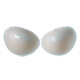 Underwear Manufacturers image
