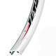 Single Wall Rims