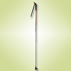 ski pole