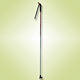 ski pole 