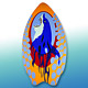 Surf Boards image