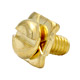 slotted screw 