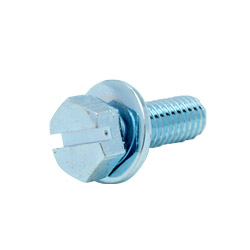 slotted screw 