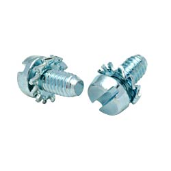 Slotted Screw Cheese Head W/ DIN6907 Extemal Tooths Washers (5)