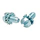 slotted screw 