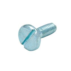 slotted screw