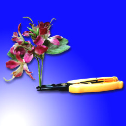 snip grip pruners 