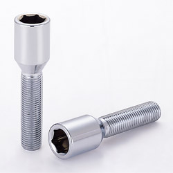 socket bolt 