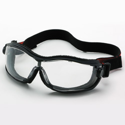 sports goggle 