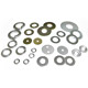 Spring Washers